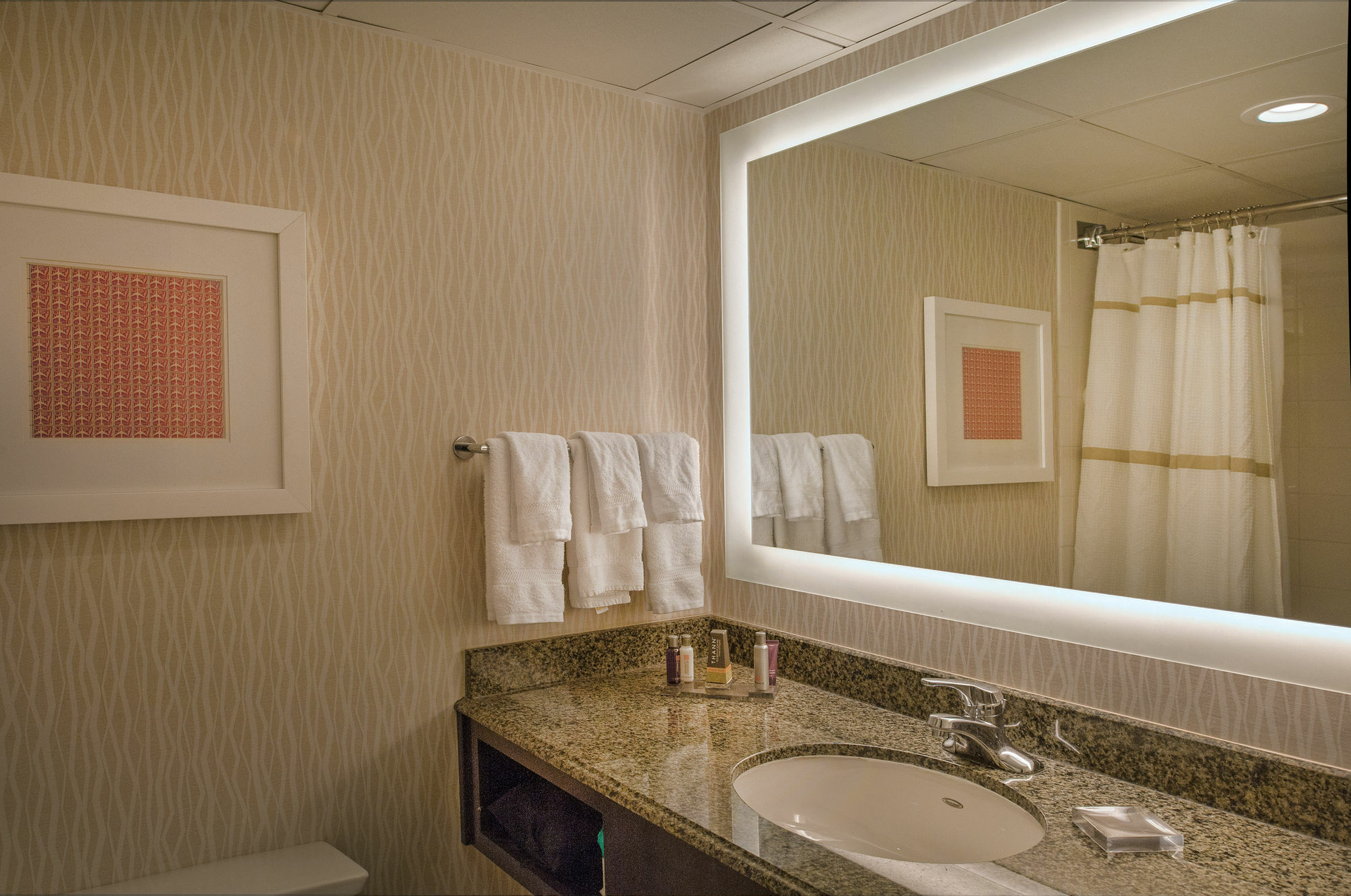 Hotel Marriott St. Louis Airport